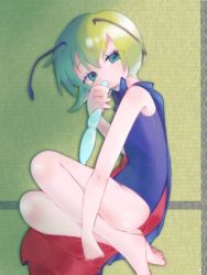 Rule 34 | 1girl, alternate costume, antennae, barefoot, black cape, blue one-piece swimsuit, cape, commentary, full body, green eyes, green hair, kari (atsuki 565), looking at viewer, lying, on floor, on side, one-piece swimsuit, red cape, short hair, solo, swimsuit, tatami, touhou, two-sided cape, two-sided fabric, wriggle nightbug