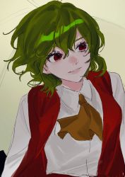 Rule 34 | 1girl, ascot, bad id, bad twitter id, beige background, black background, breasts, collared shirt, gotagotay, green hair, hair between eyes, highres, kazami yuuka, light smile, looking to the side, medium breasts, open clothes, open vest, parted lips, red eyes, red vest, shirt, short hair, solo, touhou, umbrella, upper body, vest, white shirt, yellow ascot