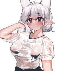Rule 34 | absurdres, auraaa, blush, highres, looking at viewer, lorel (auraaa), original, owl girl, see-through, shiny skin, towel, wet, wet clothes, white hair, wiping sweat