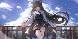 Rule 34 | 1girl, absurdres, animal ear fluff, animal ears, black hair, blue sky, blush, canizzz, cat ears, cat tail, closed mouth, cloud, cloudy sky, day, fence, green eyes, hair between eyes, highres, hood, jacket, korean commentary, long hair, looking at viewer, open clothes, open jacket, original, outdoors, sidelocks, sky, smile, solo, tail, thigh strap, two-tone dress, white jacket