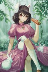 Rule 34 | 1girl, ahoge, animal ears, bamboo, bamboo forest, black hair, blush, breasts, brown footwear, carrot, carrot necklace, commentary request, dress, foot out of frame, forest, frilled sleeves, frills, grass, hair between eyes, inaba tewi, jewelry, kama (kama ovo), looking at viewer, medium breasts, nature, necklace, open mouth, pink dress, puffy short sleeves, puffy sleeves, rabbit, rabbit ears, rabbit girl, shoes, short hair, short sleeves, socks, solo, touhou, touhou lostword, tree, white socks