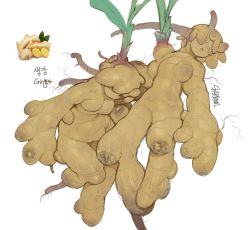Rule 34 | 2girls, absurdres, breasts, colored skin, closed eyes, ginger root, highres, horns, large breasts, looking at viewer, monster girl, multiple girls, original, oversized forearms, oversized limbs, parted lips, personification, plant girl, simple background, sparrowl, white background, yellow skin