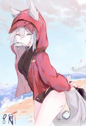 Rule 34 | 1girl, absurdres, animal ears, arknights, arms behind back, black one-piece swimsuit, blue sky, breasts, brown eyes, commentary, cowboy shot, day, fish, from side, grey hair, highres, holding, holding knife, hood, hooded jacket, jacket, knife, long sleeves, looking away, looking to the side, loopkya, medium breasts, mouth hold, official alternate costume, one-piece swimsuit, open clothes, open jacket, outdoors, projekt red (arknights), projekt red (light breeze) (arknights), short hair, signature, sketch, sky, solo, standing, swimsuit, tail, thigh strap, thighs, wolf ears, wolf tail