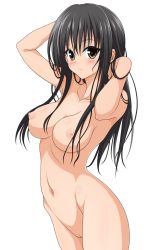 Rule 34 | 1girl, black hair, breasts, cleft of venus, highres, kotegawa yui, long hair, non-web source, nude, nude filter, pussy, third-party edit, to love-ru, transparent background, uncensored, white background