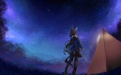 Rule 34 | 1girl, admire vega (umamusume), animal ears, black pantyhose, blue jacket, blue shorts, brown hair, camping, commentary request, ear covers, from behind, grass, hood, hood down, hooded jacket, horse ears, horse girl, horse tail, jacket, long hair, low ponytail, night, night sky, outdoors, pantyhose, purple sky, shorts, single ear cover, sky, solo, standing, star (sky), starheart, starry sky, tail, tent, umamusume