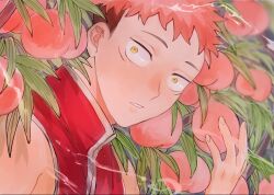 Rule 34 | 1boy, food, fruit, high collar, highres, holding, holding food, holding fruit, itadori yuuji, jujutsu kaisen, male focus, non77765, parted lips, peach, peach tree, pink hair, plant, portrait, red tabard, sleeveless, solo, tabard, undercut, wide-eyed, yellow eyes