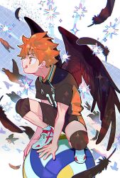 Rule 34 | 1boy, ball, bird, black feathers, blue background, brown wings, collared shirt, crow, feathered wings, feathers, full body, haikyuu!!, highres, hinata shouyou, knee pads, male focus, orange eyes, orange hair, red footwear, red wings, shirt, short hair, short sleeves, solo, sparkle, tongue, tongue out, two-tone background, two-tone footwear, volleyball (object), white background, white footwear, wings, yooki (winter cakes)