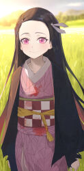 Rule 34 | 1girl, black hair, blood, blood on clothes, blurry, blurry background, checkered sash, closed mouth, commentary, darkzmonsty, day, depth of field, english commentary, field, forehead, hair ribbon, highres, japanese clothes, kamado nezuko, kimetsu no yaiba, kimono, long hair, long sleeves, obi, open clothes, outdoors, pink eyes, pink kimono, ribbon, sash, smile, solo, very long hair, white ribbon