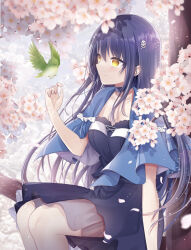 Rule 34 | 1girl, 2022, bird, bird on hand, black choker, black dress, black hair, black hairband, blue capelet, blurry, bone hair ornament, breasts, capelet, cherry blossoms, choker, cleavage, cleavage cutout, closed mouth, clothing cutout, commentary request, cowboy shot, dated commentary, day, depth of field, dress, drop shadow, eyelashes, eyes visible through hair, falling petals, floating hair, frilled capelet, frilled choker, frilled dress, frills, hair between eyes, hair ornament, hairband, hand up, highres, kushima kamome, large breasts, light blush, long hair, looking at animal, nose, outdoors, petals, profile, sidelocks, sitting, sitting on branch, skull and crossbones, skull hair ornament, smile, solo, straight hair, summer pockets, tree, very long hair, wind, wind lift, yellow eyes, yutori z71