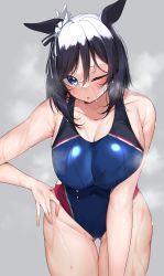 Rule 34 | 1girl, absurdres, animal ears, bare shoulders, black hair, blue eyes, blue one-piece swimsuit, blush, breasts, competition swimsuit, eishin flash (umamusume), gluteal fold, grey background, hand on own hip, highres, horse ears, horse girl, kshimu, looking at viewer, medium hair, one-piece swimsuit, one eye closed, open mouth, simple background, solo, swimsuit, umamusume, wet