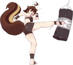 Rule 34 | 1girl, animal ears, antenna hair, bike shorts, blazblue, blonde hair, brown eyes, brown hair, commentary, fingerless gloves, flying sweatdrops, full body, gloves, kicking, makoto nanaya, multicolored hair, open mouth, rtil, short hair, simple background, sketch, solo, sports bra, squirrel ears, squirrel tail, tail, toes, two-tone hair, white background