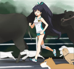 Rule 34 | 10s, 1girl, a1 (initial-g), bare legs, bare shoulders, black hair, blue eyes, blurry, buruma, cow, depth of field, dog, fang, ganaha hibiki, hair ribbon, idolmaster, idolmaster (classic), idolmaster 2, long hair, looking at viewer, no socks, one eye closed, open mouth, ponytail, ribbon, running, shoes, smile, solo, very long hair, wink