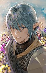 Rule 34 | 1boy, armor, blue eyes, blue hair, brown collar, chainmail, collar, earclip, elezen, elf, final fantasy, final fantasy xiv, flower, hair over eyes, haurchefant greystone, jya, looking at viewer, male focus, parted lips, pauldrons, pointy ears, portrait, short hair, shoulder armor, smile, solo
