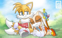 Rule 34 | 1boy, 1girl, absurdres, animal ears, animal nose, artist name, blue eyes, blue sky, body fur, book, closed eyes, closed mouth, cloud, cream the rabbit, day, dress, furry, furry female, furry male, gamerfoxdrawz, gloves, highres, orange fur, outdoors, rabbit ears, rabbit girl, reading, romeo and juliet, shoes, simple background, sitting, sky, smile, sonic (series), tails (sonic), white gloves