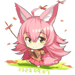 Rule 34 | 1girl, ahoge, animal, animal ear fluff, animal ears, autumn leaves, barefoot, blush, brown jacket, bug, chibi, closed mouth, commentary request, dated, dragonfly, fox ears, fox girl, fox tail, full body, green eyes, hair between eyes, highres, holding, hood, hood down, hooded jacket, insect, jacket, long hair, long sleeves, original, pink hair, pleated skirt, red skirt, skirt, smile, solo, standing, standing on one leg, tail, very long hair, white background, wide sleeves, yuuji (yukimimi)