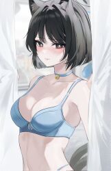 Rule 34 | 1girl, animal ears, bare arms, bare shoulders, bell, black eyes, black hair, blue archive, blue bra, blue choker, blue halo, blush, bra, breasts, cat ears, cat girl, cat tail, choker, closed mouth, collarbone, corrupted twitter file, halo, highres, indoors, jaduade, jingle bell, kikyou (blue archive), looking at viewer, medium breasts, multiple tails, navel, neck bell, short hair, solo, tail, two tails, underwear, underwear only, upper body