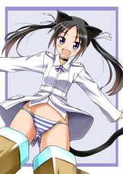 Rule 34 | 1girl, animal ears, black hair, blue eyes, cat ears, cat tail, fang, francesca lucchini, groin, hair ribbon, long hair, looking at viewer, open mouth, panties, red liquid (artist), ribbon, solo, strike witches, striker unit, striped clothes, striped panties, tail, twintails, underwear, world witches series