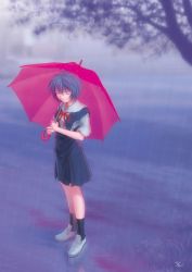 Rule 34 | 1girl, ayanami rei, blue hair, closed eyes, highres, kobayashi yuji, neon genesis evangelion, rain, school uniform, serafuku, skirt, solo, umbrella