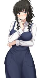 Rule 34 | 1girl, amagami, black hair, blue dress, blue eyes, breasts, closed mouth, collared shirt, commentary request, dress, long sleeves, looking at viewer, medium breasts, medium hair, mobu, morishima haruka, shirt, simple background, smile, solo, white background, white shirt