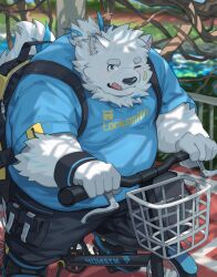 Rule 34 | 1boy, absurdres, animal ears, bag, bandaid, bandaid on face, bara, bicycle, black wristband, blue eyes, blue fur, blue shirt, cargo pants, dog boy, dog ears, dog tail, furry, furry male, highres, live a hero, male focus, one eye closed, pants, ponytail, riding, riding bicycle, school bag, shirt, shoes, short hair, sneakers, solo, tail, thick arms, thick eyebrows, tongue, tongue out, white fur, yed (yedsilent), yohack
