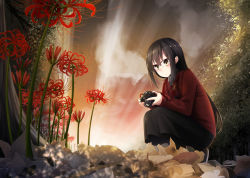 Rule 34 | 1girl, autumn, autumn leaves, black hair, black skirt, blush, branch, buttons, camera, canon (company), cloud, cloudy sky, commentary request, expressionless, flower, from below, glasses, hair intakes, highres, holding, holding camera, jacket, leaf, light rays, long hair, long skirt, long sleeves, looking down, nekobaka, original, outdoors, over-rim eyewear, plant, product placement, red-framed eyewear, red jacket, red shirt, semi-rimless eyewear, shirt, shoes, single-lens reflex camera, skirt, sky, sleeves past wrists, solo, spider lily, squatting, sunset, tree, yellow eyes