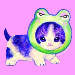 Rule 34 | airily, animal, animal focus, animal hood, artist name, cat, commentary, english commentary, frog hood, hood, kitten, making-of available, no humans, original, pastel colors, pink background, realistic, simple background, solo, whiskers