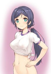 Rule 34 | 10s, 1girl, blush, bottomless, breasts, covered erect nipples, gradient background, green eyes, gym uniform, hands on own hips, jpeg artifacts, long hair, love live!, love live! school idol project, low twintails, medium breasts, navel, no bra, out-of-frame censoring, scrunchie, shirt, solo, takayaki, tied shirt, tojo nozomi, twintails, wavy mouth