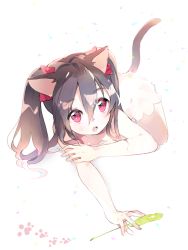 Rule 34 | 10s, 1girl, all fours, animal ears, atsumi jun, black hair, bow, cat ears, cat tail, cattail, hair bow, kemonomimi mode, love live!, love live! school idol project, open mouth, plant, red eyes, simple background, solo, tail, twintails, yazawa nico