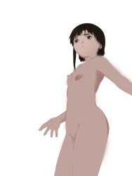 Rule 34 | 1girl, black hair, breasts, iwakura lain, nipples, small breasts, tagme