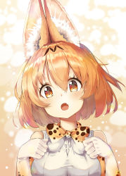Rule 34 | 10s, 1girl, :o, absurdres, animal ear fluff, animal ears, animal ears (norankkori), blonde hair, blush, bow, bowtie, elbow gloves, eyelashes, fang, gloves, hair between eyes, hands up, highres, kemono friends, korean commentary, looking at viewer, multicolored clothes, multicolored gloves, multicolored neckwear, print bow, print bowtie, print gloves, print neckwear, serval (kemono friends), serval print, shirt, short hair, sleeveless, sleeveless shirt, solo, upper body, white bow, white bowtie, white gloves, yellow bow, yellow bowtie, yellow eyes, yellow gloves