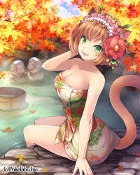 Rule 34 | 1girl, animal, animal ears, autumn, autumn leaves, breasts, brown hair, bucket, cat ears, cat tail, cleavage, flower, green eyes, hair flower, hair ornament, hairband, hinariaoba, japanese macaque, large breasts, monkey, naked towel, onsen, original, short hair, sitting, smile, solo, tail, towel, water, wooden bucket