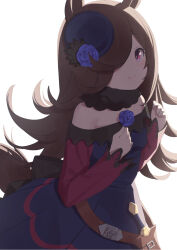 Rule 34 | 1girl, animal ears, blue flower, blue rose, brown hair, closed mouth, commentary, dress, flower, hair over one eye, hat, highres, horse ears, horse girl, horse tail, long hair, long sleeves, looking at viewer, matanukinuki, off-shoulder dress, off shoulder, pink eyes, rice shower (umamusume), rose, simple background, solo, tail, tilted headwear, umamusume, very long hair, white background