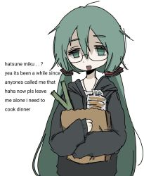 Rule 34 | 1girl, bag, bread, casual, empty eyes, english text, food, grocery bag, hatsune miku, highres, holding, holding bag, spring onion, long hair, paper bag, shopping bag, sleeves past wrists, snale, solo, tired, twintails, upper body, very long hair, vocaloid