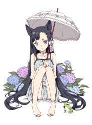 Rule 34 | 1boy, androgynous, animal ears, anklet, barefoot, black hair, bow, cat boy, cat ears, choker, crossdressing, dress, expressionless, feet, flower, frog, full body, head tilt, hydrangea, jewelry, june, long hair, male focus, montanyaoh, original, parasol, ribbon, simple background, sitting, solo, thighs, toes, trap, umbrella, very long hair, white background