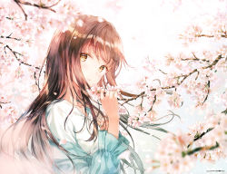 Rule 34 | 1girl, absurdres, blue shirt, blurry, blurry background, blurry foreground, branch, brown eyes, brown hair, cherry blossoms, day, depth of field, flower, highres, hiten (hitenkei), holding, long hair, long sleeves, looking at viewer, original, outdoors, parted lips, petals, pink flower, shirt, solo, spring (season), upper body, white shirt