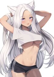 Rule 34 | 1girl, animal ear fluff, animal ears, arms behind head, black shorts, breasts, cat ears, commission, cowboy shot, crop top, dark-skinned female, dark skin, facial mark, final fantasy, final fantasy xiv, grey hair, highres, kurage cc, large breasts, long hair, looking at viewer, midriff, miqo&#039;te, navel, open mouth, purple eyes, shirt, short shorts, short sleeves, shorts, simple background, skeb commission, smile, solo, stomach, underboob, warrior of light (ff14), whisker markings, white background, white shirt