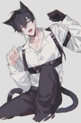 Rule 34 | 1boy, absurdres, animal ears, belt, black gloves, black hair, black pants, brown eyes, buried stars, cat boy, cat ears, cat tail, chest harness, collarbone, collared shirt, ear piercing, earrings, fangs, gloves, grey background, hair between eyes, harness, highres, jewelry, lee gyu-hyuk, long sleeves, looking at viewer, male focus, open mouth, pants, paw pose, piercing, shirt, short hair, single glove, sitting, solo, symbol-only commentary, tail, teeth, white shirt, yusa (yusa0751)