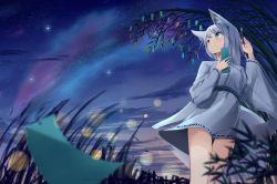 Rule 34 | 1girl, absurdres, akinakesu-chan, animal ear fluff, animal ears, blue eyes, closed mouth, commentary request, grass, grey hair, highres, holding, holding paintbrush, japanese clothes, kimono, long sleeves, looking away, looking to the side, night, night sky, original, outdoors, paintbrush, ribbon-trimmed sleeves, ribbon trim, sky, smile, solo, star (sky), starry sky, tail, tanabata, tanzaku, white kimono, wide sleeves