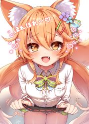 Rule 34 | 1girl, animal ear fluff, animal ears, bell, black skirt, blush, bow, breasts, brown hair, clothes lift, collared shirt, commentary request, fang, flower, fox ears, fox girl, fox tail, hair bell, hair between eyes, hair flower, hair ornament, hairclip, heart, highres, korin (shironeko project), lifted by self, long hair, looking at viewer, open mouth, panties, pleated skirt, shironeko project, shirt, signature, skirt, skirt lift, slit pupils, small breasts, solo, tail, translation request, underwear, white background, white panties, white shirt, yufukiri