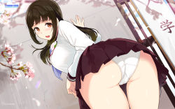 Rule 34 | 1girl, artist name, ass, bent over, blush, breasts, brown eyes, brown hair, cameltoe, cherry blossoms, company name, game-style, highres, large breasts, long hair, looking at viewer, looking back, open mouth, original, panties, pleated skirt, sasamori tomoe, school uniform, serafuku, skirt, smile, solo, trefoil, underwear, wallpaper, watermark, white panties