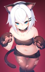 Rule 34 | 1girl, animal ear fluff, animal ears, animal hands, bandeau, bare shoulders, blue eyes, blush, cat ears, cat tail, collar, fake animal ears, from above, gloves, hair between eyes, hair ornament, hairclip, halloween, highres, looking at viewer, navel, original, otokuyou, pantyhose, paw gloves, red background, ringo-chan (otokuyou), short hair, shorts, simple background, solo, tail, torn clothes, torn pantyhose, white hair