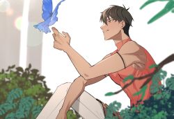 Rule 34 | 1boy, animal, arash (fate), bare arms, bird, blue bird, blurry, blurry background, blurry foreground, brown hair, dabin, fate/grand order, fate (series), from side, highres, indoors, lens flare, male focus, orange shirt, pants, parted lips, shirt, short hair, sitting, sleeveless, sleeveless shirt, solo, white pants