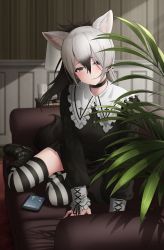 Rule 34 | 1girl, aardwolf (kemono friends), absurdres, alternate costume, animal ear fluff, animal ears, belt boots, black choker, black footwear, black hair, black skirt, blurry, blurry background, boots, carpet, cellphone, choker, couch, cup, deku suke, depth of field, drinking glass, ear piercing, extra ears, frills, grey eyes, hair between eyes, hair in own mouth, highres, indoors, kemono friends, lamp, long hair, long sleeves, looking at viewer, multicolored hair, on couch, phone, piercing, pill, plant, pleated skirt, ponytail, sitting, skirt, smartphone, solo, striped clothes, striped thighhighs, tail, thighhighs, white hair, yokozuwari