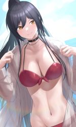 Rule 34 | 1girl, absurdres, bikini, black choker, black hair, breasts, choker, cleavage, collarbone, commentary request, dutch angle, front-tie top, groin, hair between eyes, highres, horizon, idolmaster, idolmaster shiny colors, large breasts, light smile, looking at viewer, midriff, navel, ocean, okano yuuto, open clothes, open shirt, outdoors, ponytail, red bikini, see-through, see-through shirt, shirase sakuya, solo, stomach, sunlight, swimsuit, yellow eyes