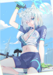 Rule 34 | 1girl, animal ear fluff, animal ears, bicycle, bike jersey, bike shorts, blue archive, blue eyes, blue sky, bottle, breasts, cat ears, cloud, cross hair ornament, day, gloves, green gloves, hair ornament, halo, highres, looking at viewer, medium breasts, nakashige shunsuke, navel, one eye closed, open mouth, outdoors, pouring, pouring onto self, shiroko (blue archive), shiroko (cycling) (blue archive), short hair, silver hair, sitting, sky, solo, unzipped, water, water bottle