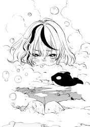 Rule 34 | 1girl, ahoge, bath, bathing, blush, breast suppress, breasts, commentary, covered mouth, greyscale, hair between eyes, hands on own chest, hololive, knees, knees to chest, large breasts, looking at viewer, monochrome, multicolored hair, partially submerged, sakamata chloe, shirakaba ririe, simple background, sitting, soap, soap bubbles, solo, streaked hair, stuffed animal, stuffed orca, stuffed toy, two-tone hair, virtual youtuber, wet, wet hair, white background