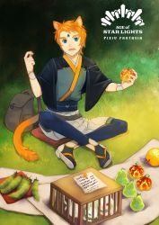 Rule 34 | 1boy, animal ears, backpack, bag, blue eyes, cage, copyright name, crossed ankles, day, facial mark, food, forehead mark, fruit, grass, highres, holding, holding food, holding fruit, male focus, orange hair, outdoors, pear, pixiv fantasia, pixiv fantasia age of starlight, ranjullo tomorry, sitting, solo, tail, yoshiroad