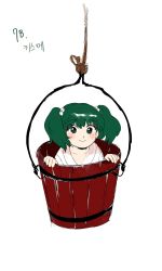 Rule 34 | 1girl, absurdres, blush, bucket, closed mouth, commentary request, derivative work, full body, green eyes, green hair, hair bobbles, hair ornament, happy, highres, in bucket, in container, japanese clothes, kimono, kisume, korean commentary, kuya (hey36253625), looking at viewer, medium hair, rope, simple background, smile, solo, subterranean animism, touhou, translation request, twintails, white background, white kimono, wooden bucket