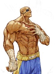 Rule 34 | 1boy, abs, absurdres, bald, blue shorts, collarbone, dark-skinned male, dark skin, eyepatch, fingerless gloves, gloves, hand on own chest, highres, male focus, muay thai, muscular, muscular male, nishimura kinu, nishimura kinu (style), sagat, scar, scar on chest, setsuna kasugano, shorts, standing, street fighter, topless male, veins, veiny arms, white background