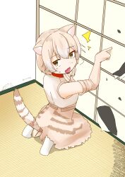 Rule 34 | 1girl, animal ears, animal print, bare shoulders, blush, boots, bow, bowtie, cat (kemono friends), cat ears, cat girl, cat print, cat tail, collar, commentary request, elbow gloves, extra ears, gloves, high-waist skirt, highres, kemono friends, kneeling, light brown hair, multicolored hair, print bow, print bowtie, print gloves, print skirt, red collar, shironappa 46, shirt, short hair, skirt, solo, sweatdrop, tail, white footwear, white shirt, yellow eyes